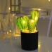 Lámpara de planta de cactus USB para decoración 13*13*30 SDD1277