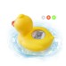 Termómetro de baño  para piscina, herramienta de baño flotante de pato amarillo lindo ZJK-507